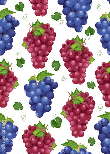 Grape bunch seamless pattern on white background with leaves, Fresh organic food, Dark blue and red grape pattern background, Fruit vector illustration.