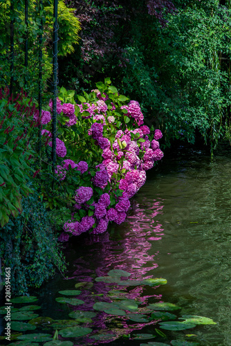 View on the flower gardens from the canal boats in Leiden, Netherlands
