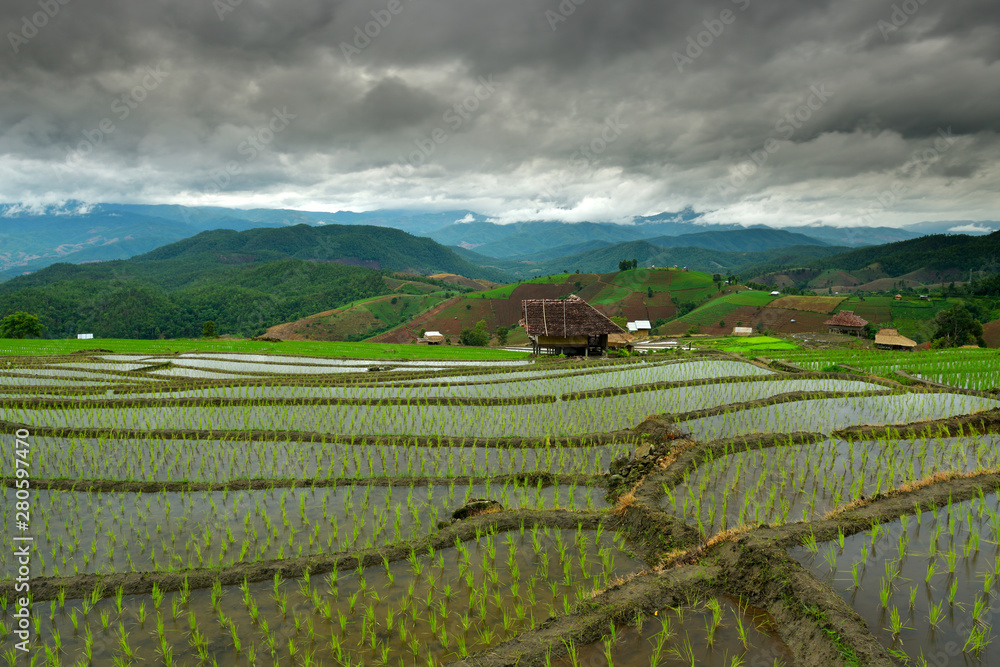 Beautiful scenery of rice terraces at Baan Pa Bong Pian. Rice terraces on high ground in Mae Chaem District, Chiang Mai Province, Thailand. 