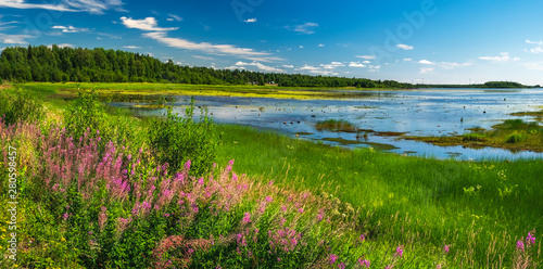 Summer landscape with green medow and pond, forest and village on horizon near Sangis in Kalix Municipality, Norrbotten, Sweden. Swedish landscape in summertime. photo