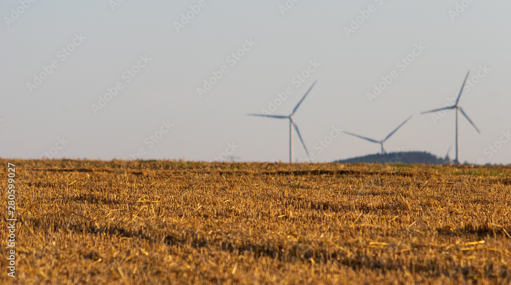 wind turbines in the distance with harvested wheat stubble field in front, clear sky wind turbines in the distance with harvested wheat stubble field in front, clear sky