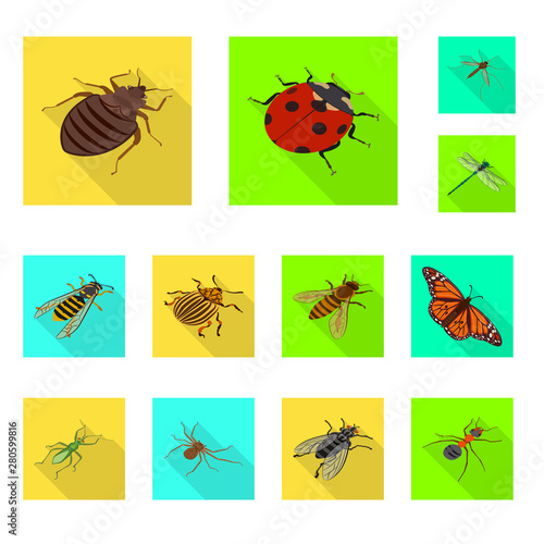 Vector illustration of nature and wildlife icon. Collection of nature and wing vector icon for stock.