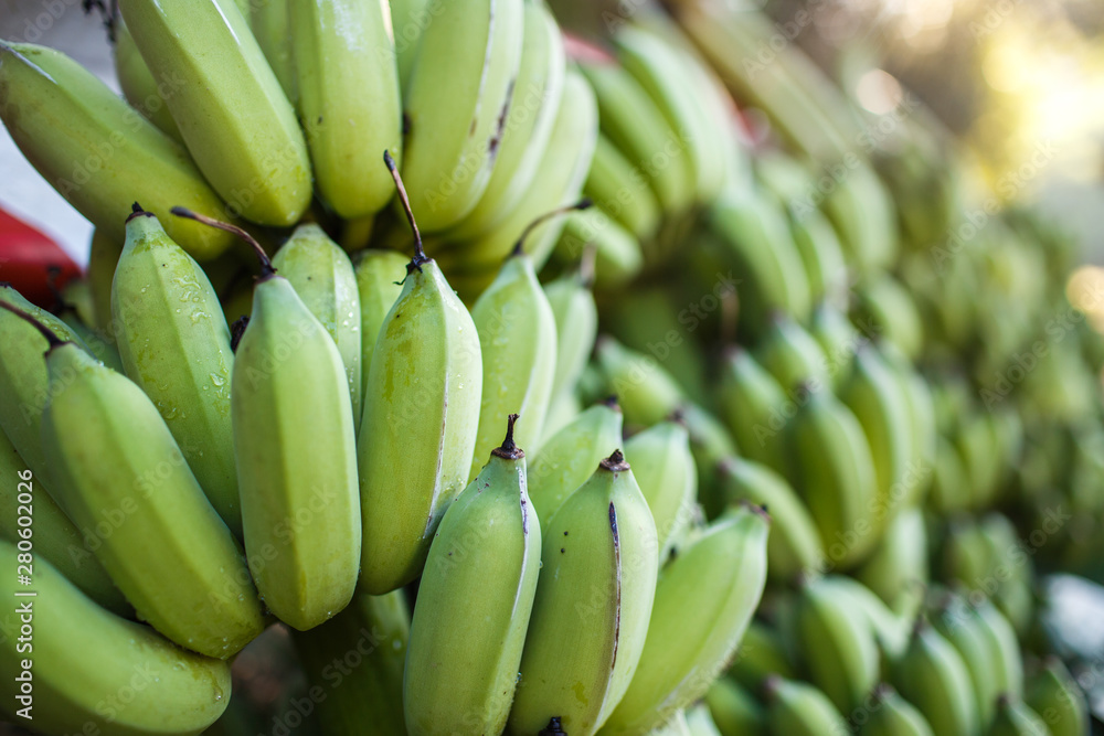 close up shot of banana bunches close up shot of banana bunches