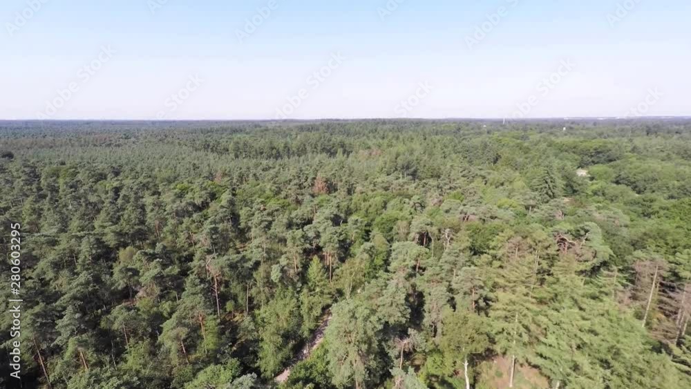 low aerial overview of forest - jib down