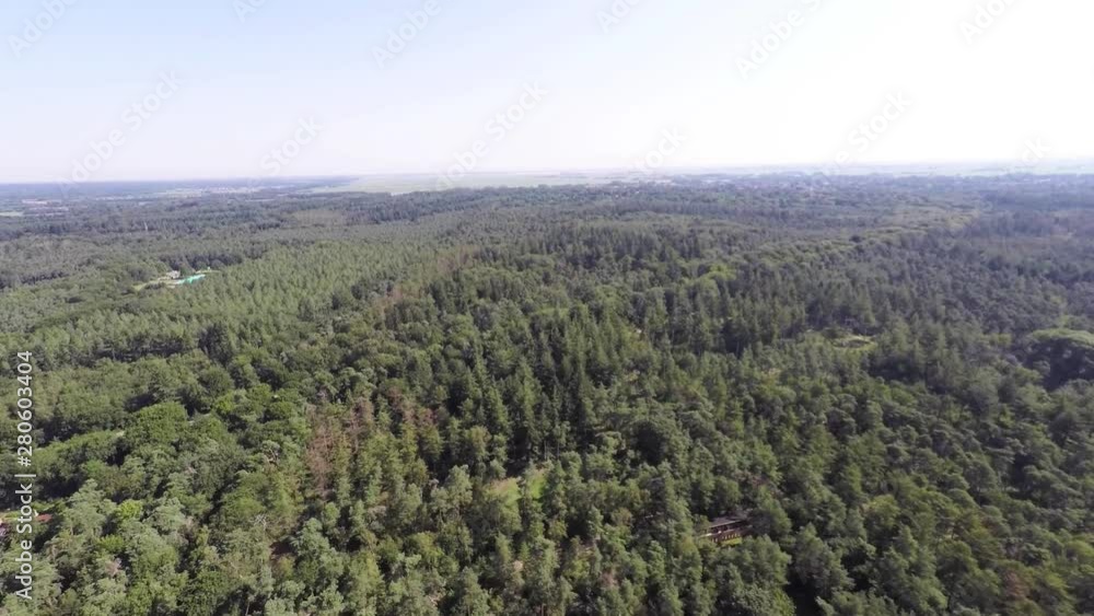 Aerial overview forest in summer Aerial overview forest in summer