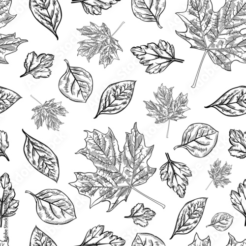 pattern graphic leaves doodle illustration stripe seamless wallpaper autumn