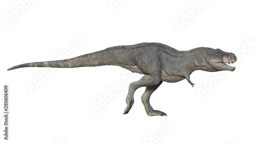 3d render of Tyrannosaurus rex on a white background © davstudio