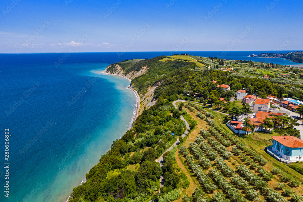 Aerial view of blue ocean and olive gardens. Green trees  coastline.