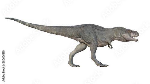 3d render of Tyrannosaurus rex on a white background