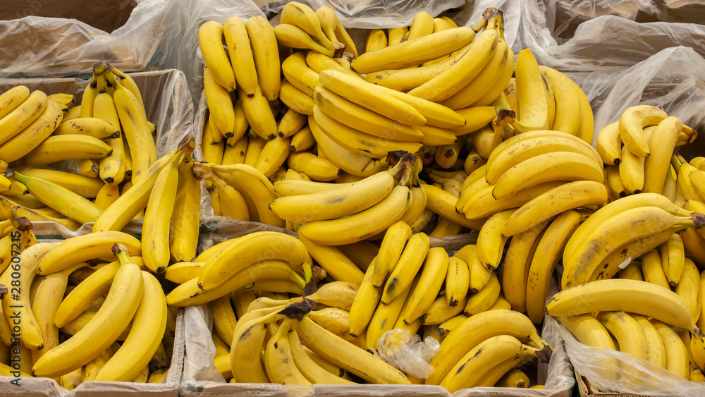 Ripe yellow bananas packed in boxes on the counter of a market supermarket. Background Wallpaper Banner