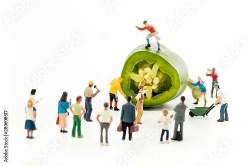 People Working with Food, Miniature people harvesting a Pepper/Jalapeno, construction site