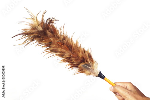 Dusting chicken on a white background