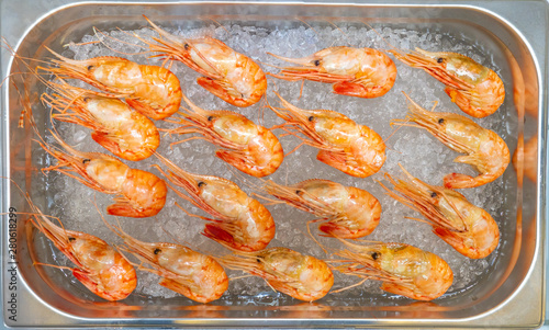 Large fresh shrimps on ice ...