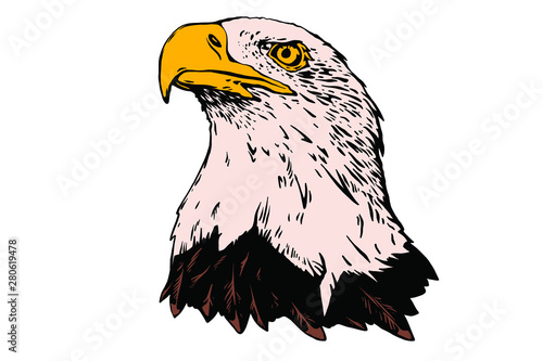 Vector bird. Eagle illustration. Good for logos and posters.