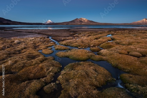 Moss-covered wetland lake at Lake Chungar·, Dusk, Lauca National Park, Putre, Parinacota Province, RegiÛn de Arica y Parinacota, Chile, South America photo