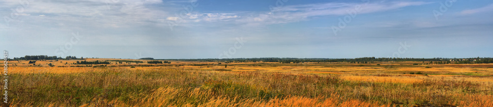 Panorama of fields with sun-scorched yellow grass