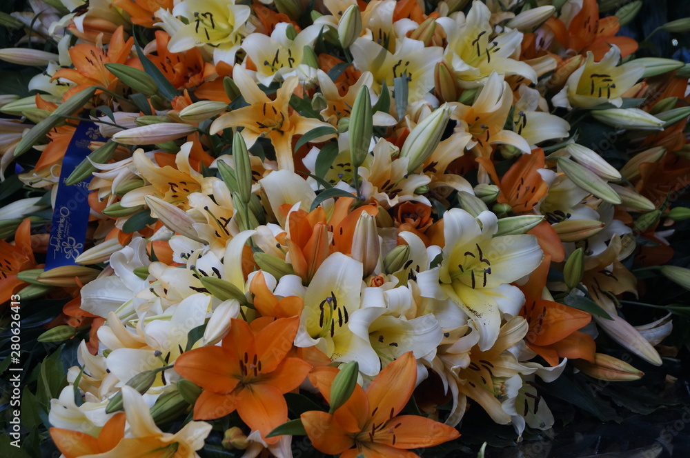 Obraz premium colorful background of flowers