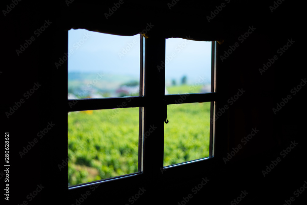Ventana viñedo Ventana viñedo