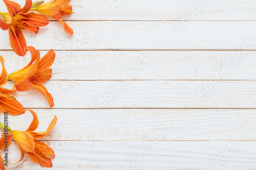 orange day-lily on wooden background