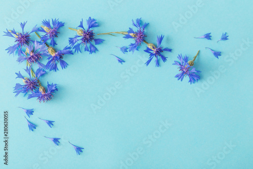 blue cornflowers on blue paper background