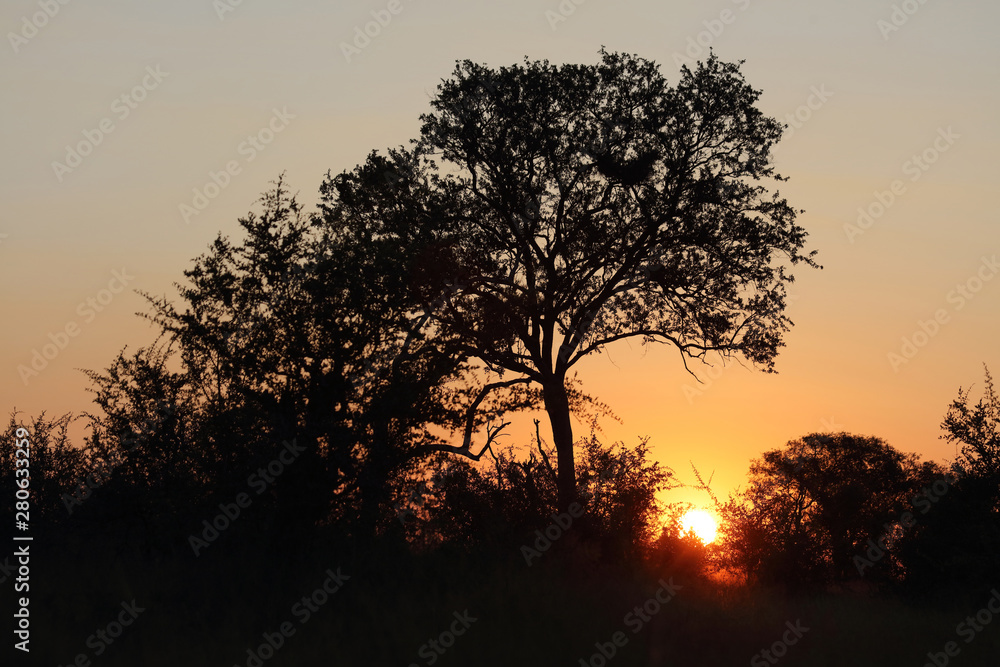 Sonnenuntergang Krüger Park Südafrika / Sundown Kruger Park South Africa / Sonnenuntergang Krüger Park Südafrika / Sundown Kruger Park South Africa /
