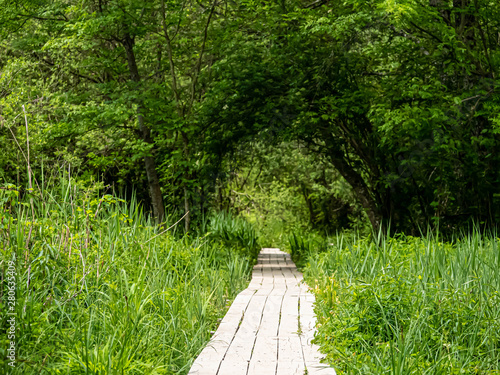 chemin