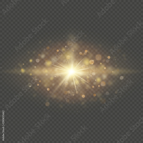 Special effect - shining star sun particles and sparks. Glitter and sequins bokeh lights isolated on transparent background. EPS 10