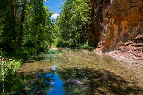 Peaceful scene of a clear  still stream reflecting a lush green forest in a red rock canyon - Oak Creek in Sedona  Arizona