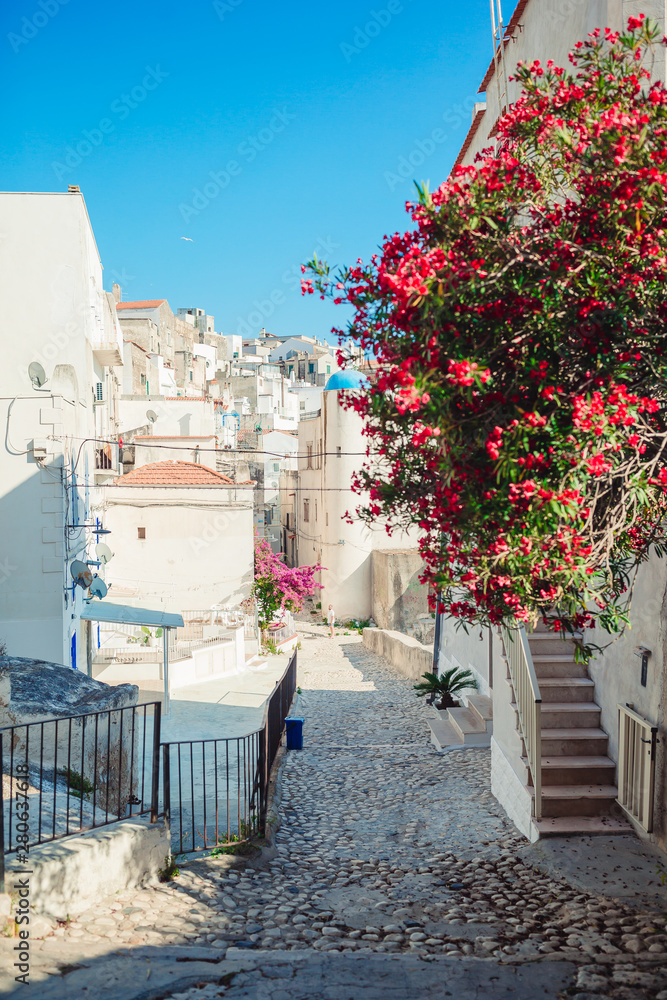 Naklejka premium The narrow streets of the island with blue balconies, stairs and flowers.