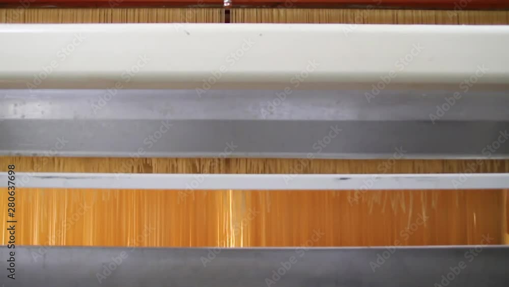 Raw spaghetti pasta in a pasta factory while are coming out from the extruder. Spaghetti production line. Equipment for pasta or spaghetti production. Spaghetti processing in a pasta Factory. Raw spaghetti pasta in a pasta factory while are coming out from the extruder. Spaghetti production line. Equipment for pasta or spaghetti production. Spaghetti processing in a pasta Factory.