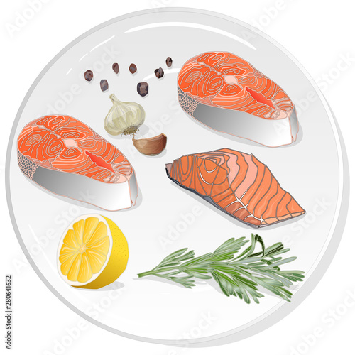 Raw salmon fillets with herbs on the plate. White background. Vector illustration