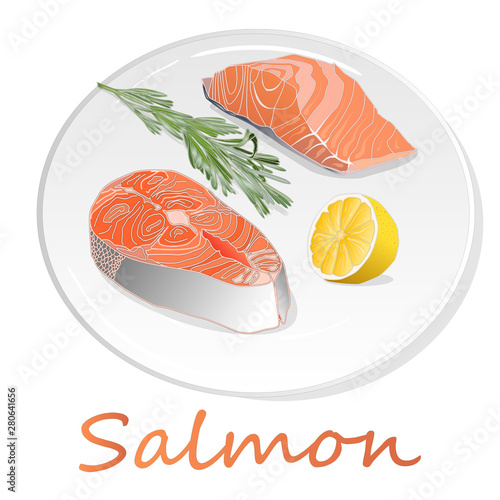 Raw salmon fillets with herbs on the plate. White background. Vector illustration