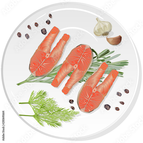 Raw salmon fillets with herbs on the plate. White background. Vector illustration