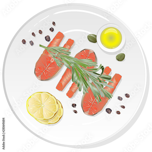 Raw salmon fillets with herbs on the plate. White background. Vector illustration