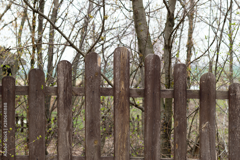 Wooden fence from planks with rounded ends. Trees with green buds behind it. Spring time. Village life concept. Wooden house and a pond far away in background. Close-up. Front view.
