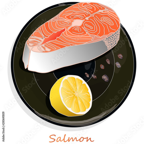 Raw salmon fillets with herbs on the plate. White background. Vector illustration