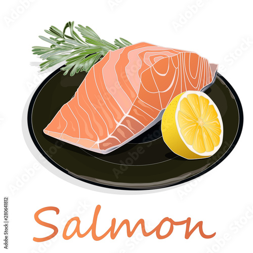 Raw salmon fillets with herbs on the plate. White background. Vector illustration