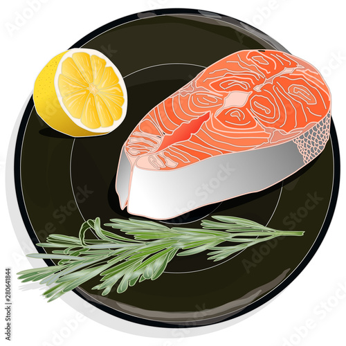 Raw salmon fillets with herbs on the plate. White background. Vector illustration