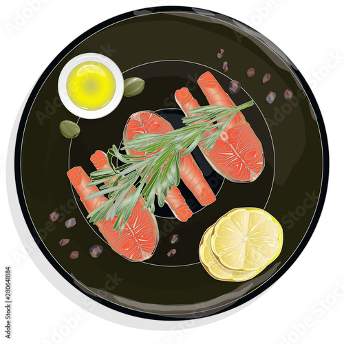 Raw salmon fillets with herbs on the plate. White background. Vector illustration