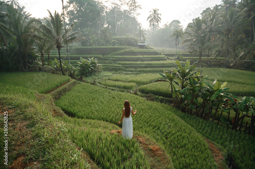 Back view beautiful young woman looking at  tegallalang rice terrace in Bali, Indonesia/ Sunrise time photo