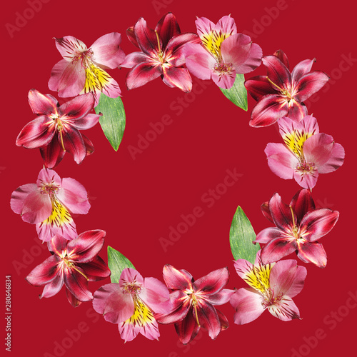 Beautiful floral circle of burgundy lilies and pink alstroemeria. Isolated