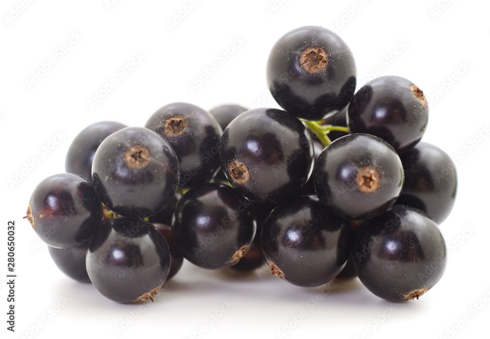Fototapeta premium Black currants isolated.