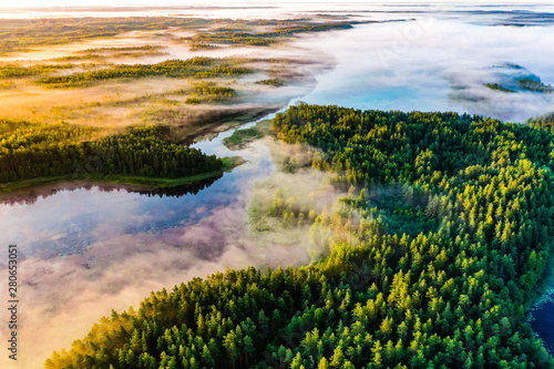 Thick fog hangs in green forest in morning, aerial landscape. Ecology concept