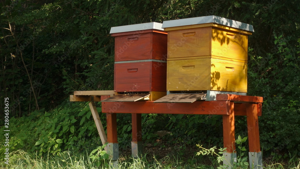 Beehive boxes in a garden Beehive boxes in a garden