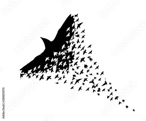 Abstract mosaic of birds. Flying Birds. Vector illustration