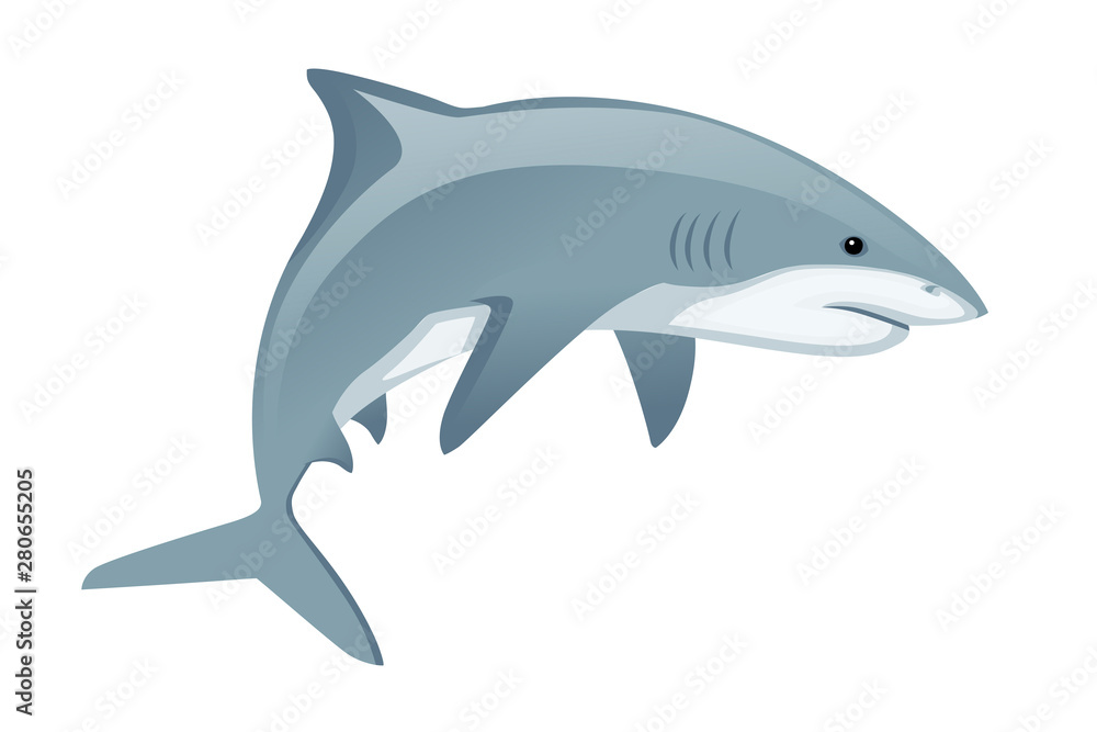 Shark with mouth closed giant apex predator cartoon animal design flat vector illustration isolated on white background Shark with mouth closed giant apex predator cartoon animal design flat vector illustration isolated on white background