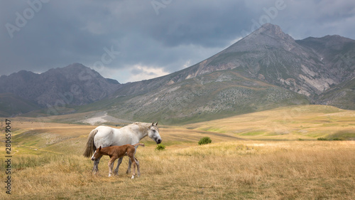 Campo Imperatore is a mountain grassland or alpine meadow located above Gran Sasso massif, the largest plateau of Apennine ridge. Known as "Little Tibet",is a notable cinematographic natural set.