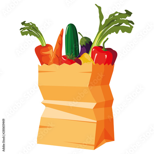 paper bag supermarket vegetables carrot cucumber eggplant