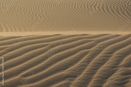 Sand texture background. Golden tint. © Kristin Greenwood