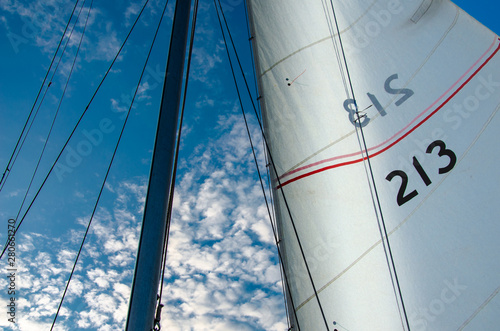 Snow-white sails against a clean bright blue sky on a sunny summer day